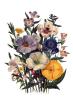 Jane Wells Loudon art print