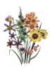 Jane Wells Loudon art print