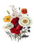 Jane Wells Loudon art print