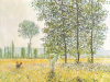 Claude Monet art print