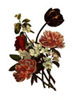 Jean Louis Pr�vost art print
