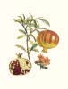 Pierre Jean Francois Turpin art print