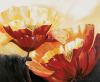 Beatrix Frederiks art print