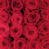 Creatief Met Bloemen art print