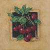 Barbara Mock art print