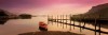 Peter Adams art print