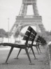 Teo Tarras art print