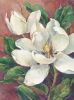 Barbara Mock art print