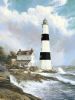 N. Mirkovich art print