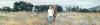 Steve Hanks art print
