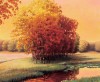 Stephen Henning art print