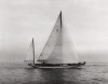 Ray Krantz art print