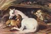 Sir Edwin Henry  Landseer art print