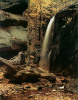 Daniel Jones art print