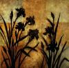 Lange art print
