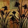 Lange art print