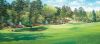 Bernard Willington art print