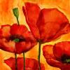 Giuseppina Tartagni art print