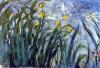 Claude Monet art print