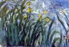 Claude Monet art print
