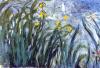 Claude Monet art print