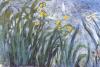 Claude Monet art print