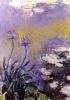 Claude Monet art print