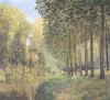Alfred Sisley art print
