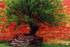 Andre Fiore art print