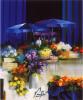 Raymond Poulet art print