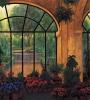 Montserrat Masdeu art print