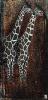 Fabienne Arietti art print