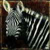 Fabienne Arietti art print