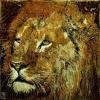 Fabienne Arietti art print