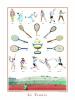 Sport Collection art print