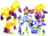 Marc Folly art print