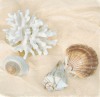 Judy Mandolf art print