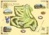 Bernard Willington art print