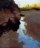 Marcus Bohne art print