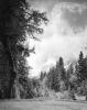 Ansel Adams art print