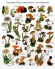 Atelier art print