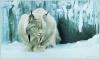 Robert Bateman art print