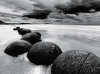 Monte Nagler art print