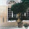Piet Bekaert art print
