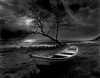 Olivier M�riel art print
