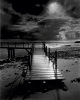 Olivier M�riel art print
