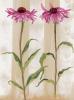 Val�rie Roy art print