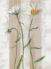 Val�rie Roy art print