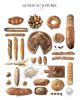 Atelier art print