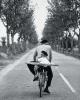 Elliott Erwitt art print